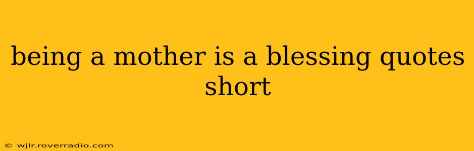 being a mother is a blessing quotes short