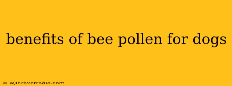 benefits of bee pollen for dogs