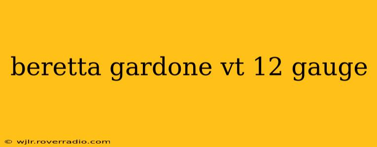 beretta gardone vt 12 gauge