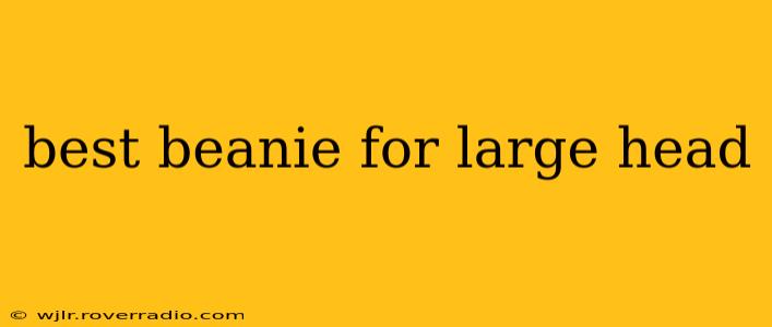 best beanie for large head