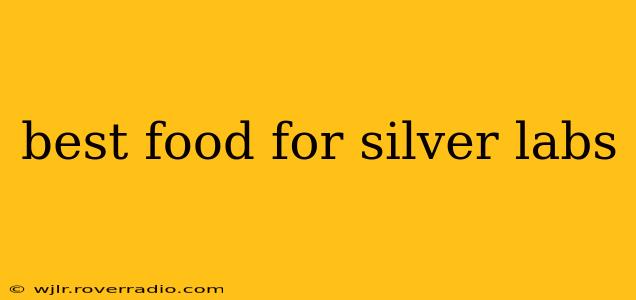 best food for silver labs
