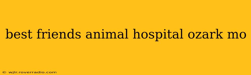 best friends animal hospital ozark mo