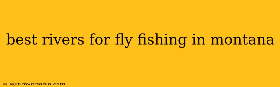 best rivers for fly fishing in montana