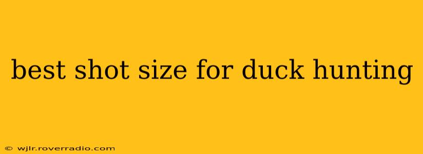 best shot size for duck hunting