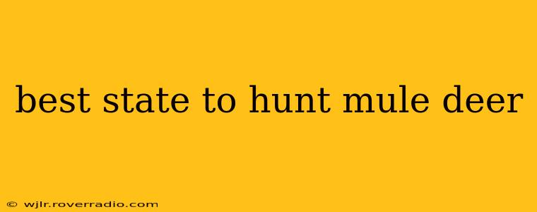best state to hunt mule deer
