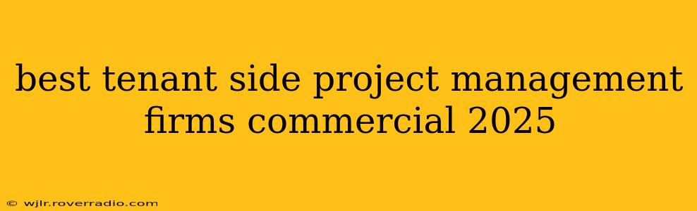 best tenant side project management firms commercial 2025
