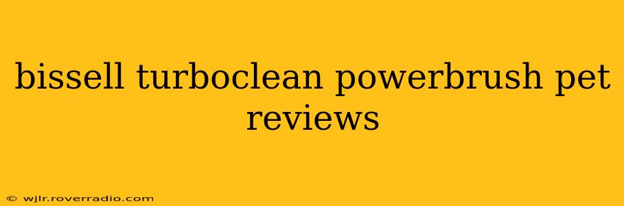 bissell turboclean powerbrush pet reviews