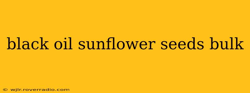 black oil sunflower seeds bulk