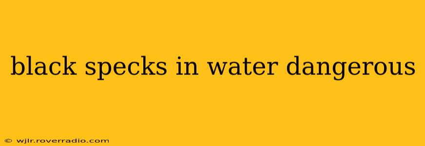 black specks in water dangerous