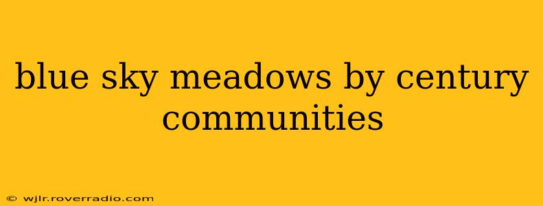 blue sky meadows by century communities