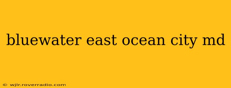 bluewater east ocean city md