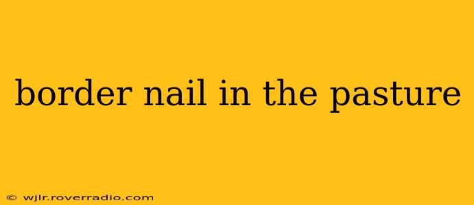 border nail in the pasture