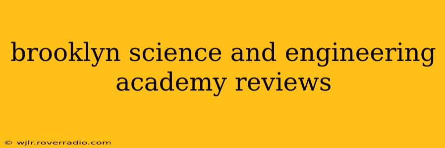 brooklyn science and engineering academy reviews