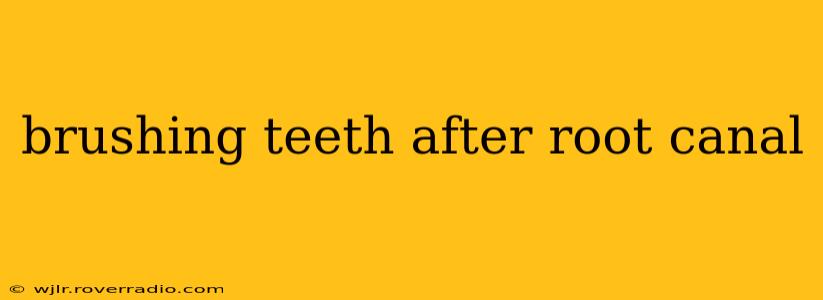 brushing teeth after root canal