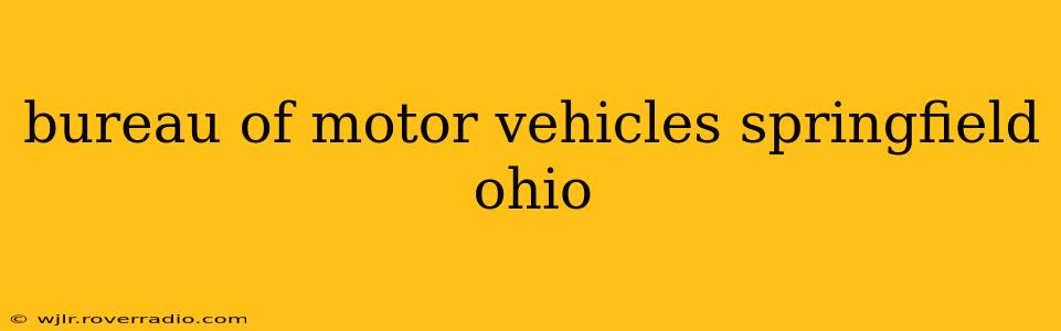 bureau of motor vehicles springfield ohio