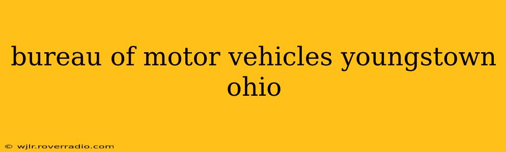 bureau of motor vehicles youngstown ohio
