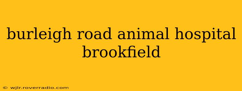 burleigh road animal hospital brookfield