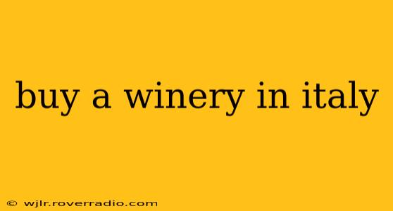 buy a winery in italy