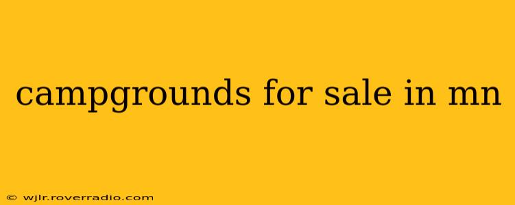 campgrounds for sale in mn