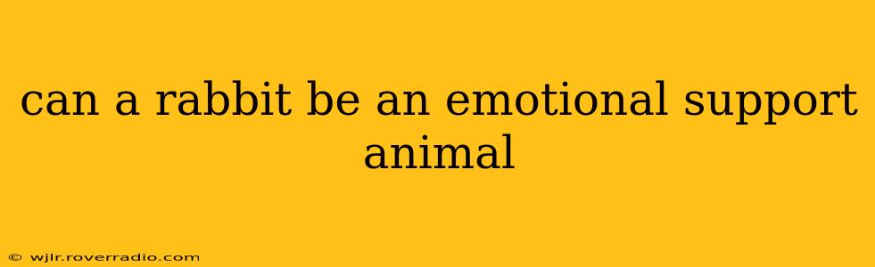 can a rabbit be an emotional support animal