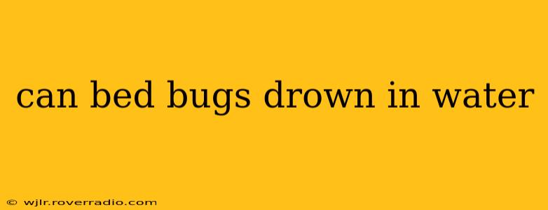 can bed bugs drown in water