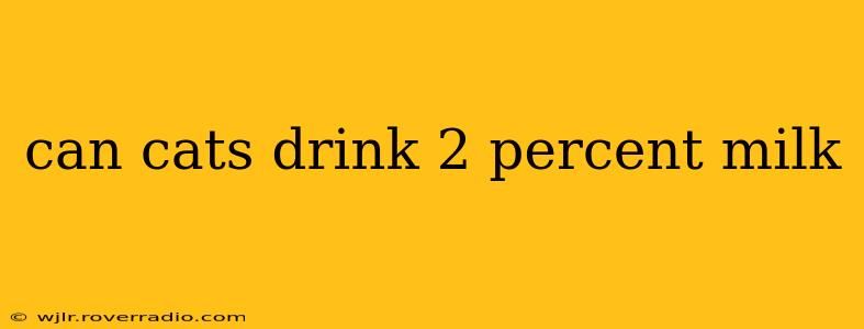 can cats drink 2 percent milk