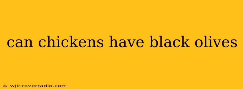 can chickens have black olives