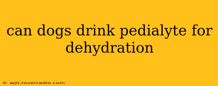 can dogs drink pedialyte for dehydration
