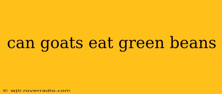 can goats eat green beans