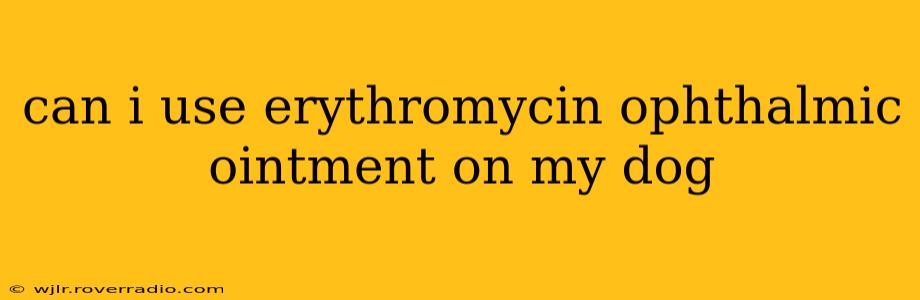 can i use erythromycin ophthalmic ointment on my dog