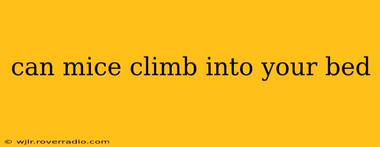 can mice climb into your bed