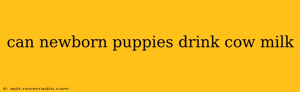 can newborn puppies drink cow milk
