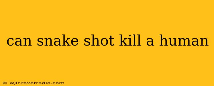 can snake shot kill a human