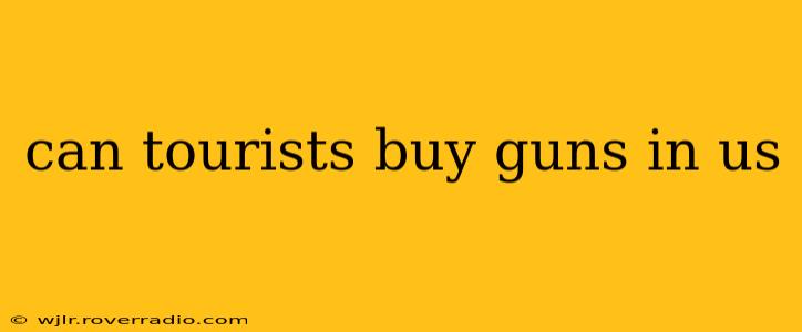 can tourists buy guns in us