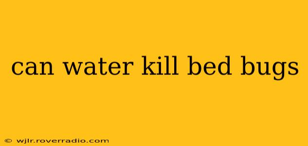 can water kill bed bugs