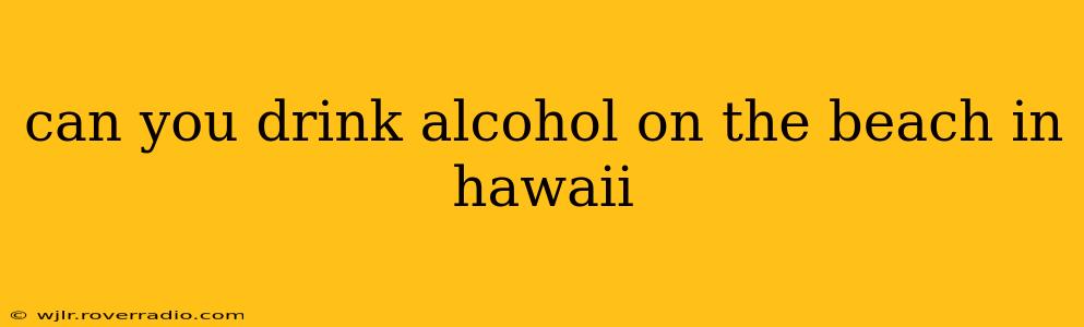 can you drink alcohol on the beach in hawaii