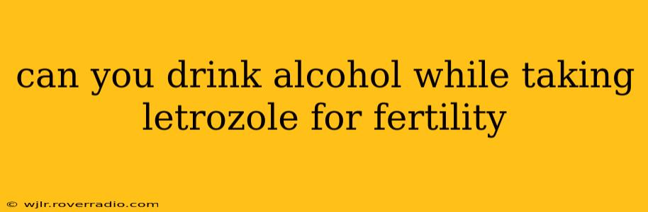 can you drink alcohol while taking letrozole for fertility