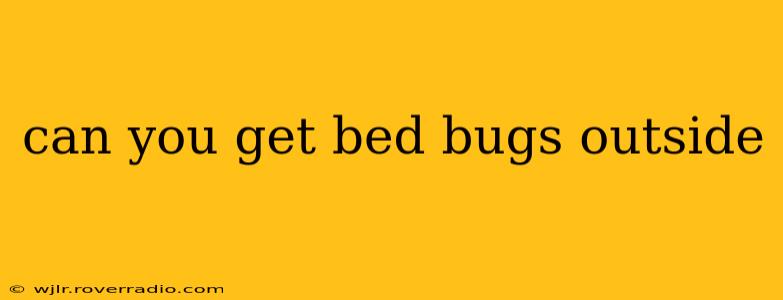 can you get bed bugs outside