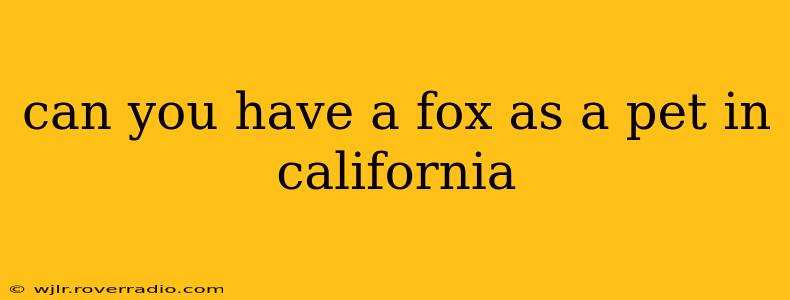 can you have a fox as a pet in california