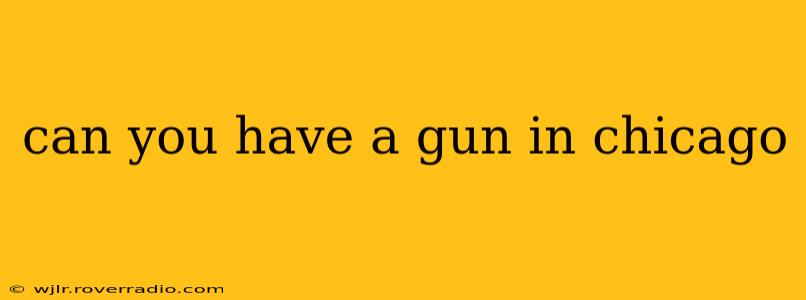 can you have a gun in chicago