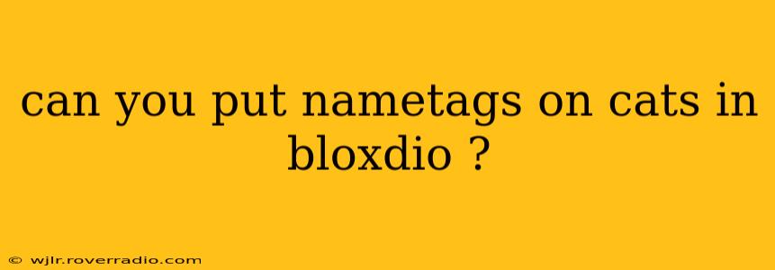 can you put nametags on cats in bloxdio ?