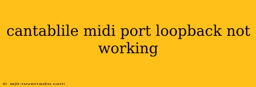 cantablile midi port loopback not working