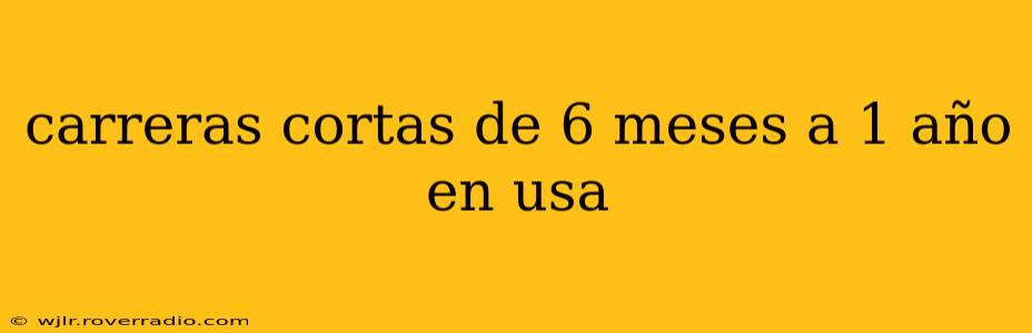 carreras cortas de 6 meses a 1 año en usa