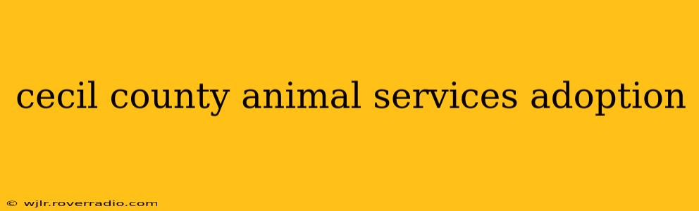 cecil county animal services adoption