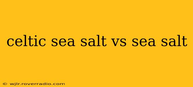 celtic sea salt vs sea salt