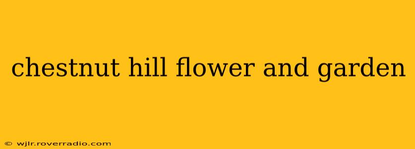 chestnut hill flower and garden