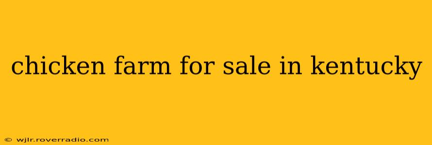 chicken farm for sale in kentucky