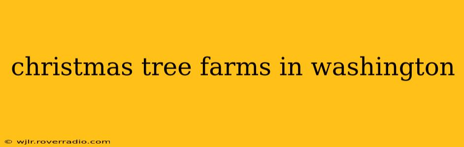 christmas tree farms in washington
