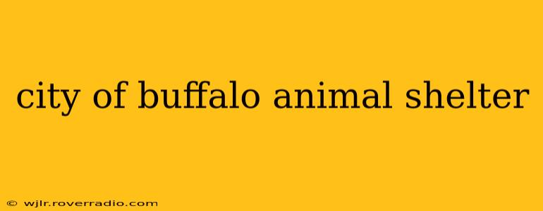 city of buffalo animal shelter