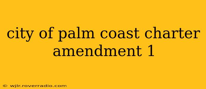 city of palm coast charter amendment 1